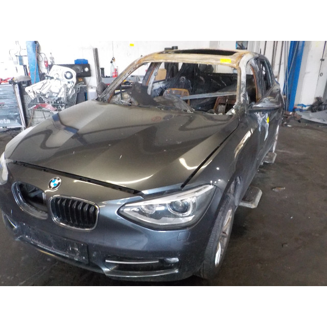 Amortisseur arrière gauche BMW 1 serie (F20) (2011 - 2015) Hatchback 5-drs 116i 1.6 16V (N13-B16A)