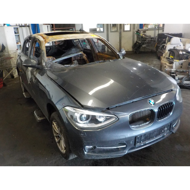 Amortisseur arrière gauche BMW 1 serie (F20) (2011 - 2015) Hatchback 5-drs 116i 1.6 16V (N13-B16A)
