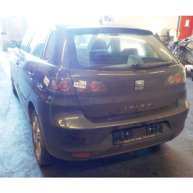 Ensemble d'amortisseurs à gaz arrière Seat Ibiza III (6L1) (2006 - 2008) Hatchback 1.4 16V 85 (BXW)