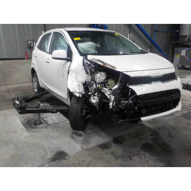 Arbre de transmission avant gauche Kia Picanto (JA) (2017 - présent) Hatchback 1.0 12V (G3LD)